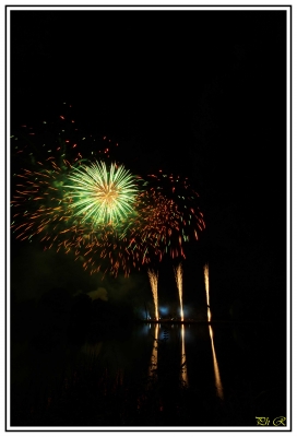 Feu d'artice de Vertou 
Feu d'artifice du 13 Juillet 2011 à Vertou 
Mots-clés: feux d'artifices  feux vertou loiry 2011