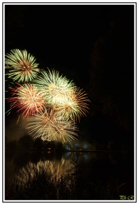 Feu d'artice de Vertou 
Feu d'artifice du 13 Juillet 2011 à Vertou 
Mots-clés: feux d'artifices feux vertou loiry 2011