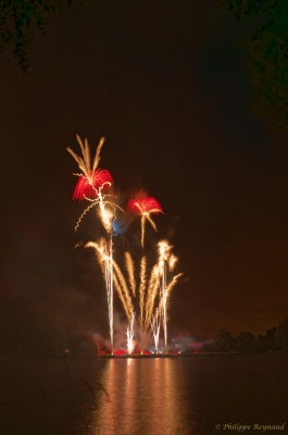 Feu d'artifice de Vertou
Feu d'artifice du 13 Juillet 2015 au parc du Loiry à Vertou près de Nantes , ( dept 44 )
Mots-clés: feu d&#039;artifices vertou 2015