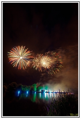 Feu d'artice de Vertou 
Feu d'artifice du 13 Juillet 2010 au parc du Loiry  à Vertou ( dep 44 )
Mots-clés: feu d'artifice,vertou,dep44,loire atlantique