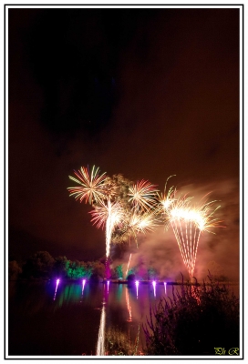 Feu d'artice de Vertou 
Feu d'artifice du 13 Juillet 2010 au parc du Loiry  à Vertou ( dep 44 )
Mots-clés: feu d'artifice,vertou,dep44,loire atlantique