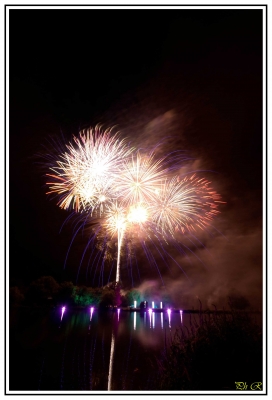 Feu d'artice de Vertou 
Feu d'artifice du 13 Juillet 2010 au parc du Loiry  à Vertou ( dep 44 )
Mots-clés: feu d'artifice,vertou,dep44,loire atlantique