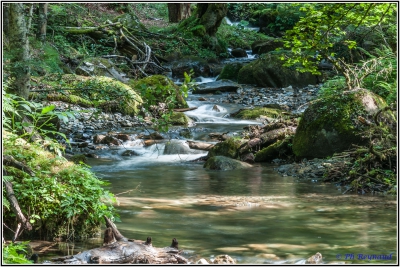 Ruisseau d'Artigou - Payolle 
0.6s - f/20 - iso 160 - sans filtre
Keywords: ruisseau d artigou payolle pyrénées pose longue
