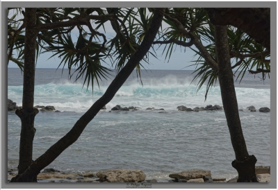 Grande Anse
Plage de Grande Anse.
Mots-clés: plage grande anse la réunion