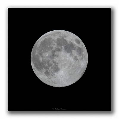 Pleine lune
Pleine lune prise le 08/04/2020 à 02h20 depuis le jardin durant la super lune.
Keywords: pleine lune vendée super lune